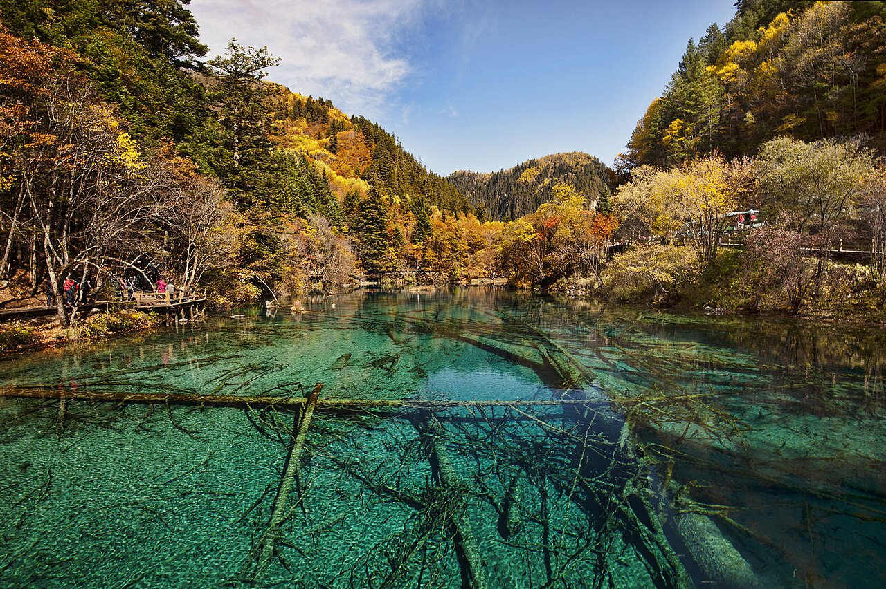 Five Flower Lake in Jiuzhaigou, Sichuan, China
