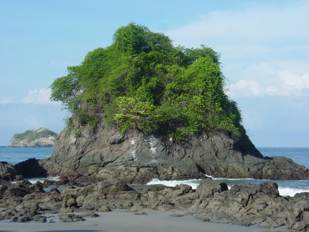 Coastal rock and forest in Manuel Antonio National Park, Costa Rica