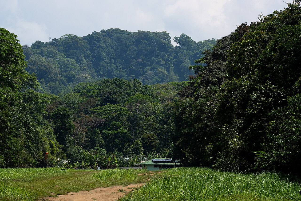 Sirena Station's airstrip in Corcovado National Park, Costa Rica